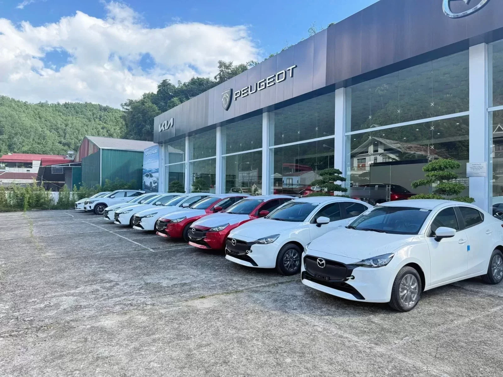 Kia Bắc Kạn - khu vực tư vấn xe Kia tại Bắc Kạn